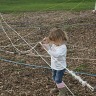Pumpkin Patch Richardsons in Dunnville